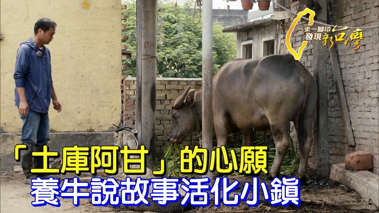 《一步一腳印》養牛推觀光活化小鎮 改變家鄉土庫阿甘