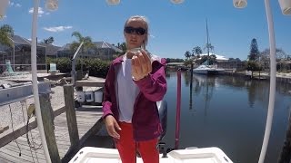 3 Best Live Baits For Inshore Fishing In Florida (not including shrimp)