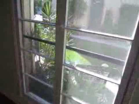 PL1729 - Stunning Apartment near Beverly Hills for rent.