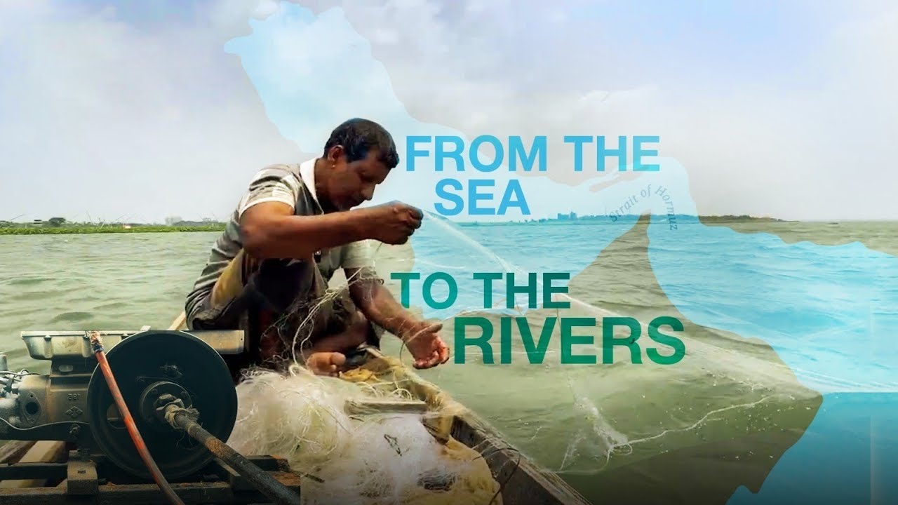 War’s impact on fishers in Bangladesh