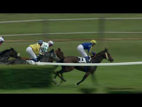 3. dostih - Cena Jockey Clubu ČR - dostihy Most 12. 6. 2020