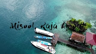 preview picture of video 'Misool, Raja Ampat | 28 Nov - 3 Dec 2017'