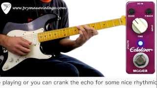Video thumbnail for Mooer Audio Echolizer Delay by Prymaxe