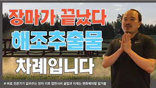 장마가 끝난 지금 추천하는 엽면시비 해조추출물! 쓰고 안쓰고 차이가 심합니다 | 장마 엽면시비 2편 | 농사…