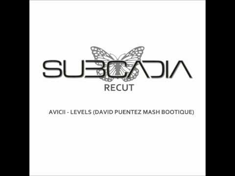 AVICII - LEVELS (David Puentez Mash Bootique - SUBCADIA Recut)
