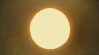 Ray LaMontagne - I Was Born To Love You