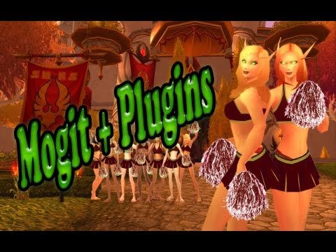 Besser aussehen in wenigen Minuten ! [Add On / Interface] der Woche [MogIt] + Plugins