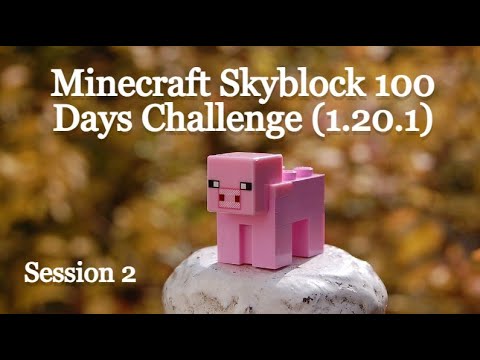 Minecraft Skyblock 100 Days Challenge (1.20.1)  (8/8-2023)