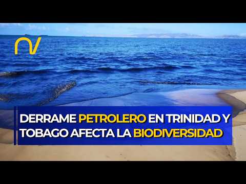 Derrame petrolero en Trinidad y Tobago afecta la biodiversidad y la economía en Sucre