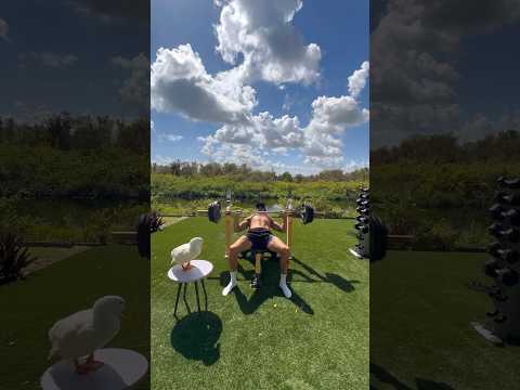 BUILDING A TURTLE TANK 🐢