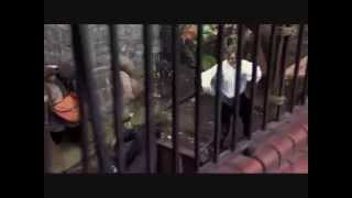 Showreel Barry O Connor Lorraine Brennan Management video