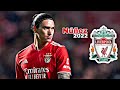 Darwin Nunez 2022 • amazing skills - goals / assists | welcome to Liverpool 🔥