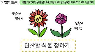 과학 4학년 1학기 3단원 3차시 영상(52-53p)