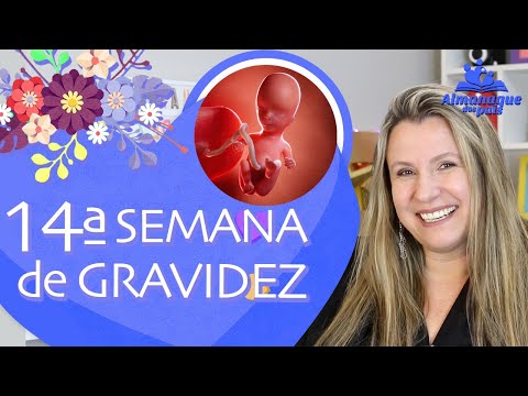 14ª SEMANA DE GESTAÇÃO | Tamanho do Feto, Colostro, Barriga de 4 meses | 2º TRIMESTRE DE GRAVIDEZ