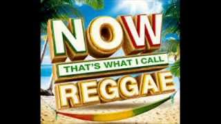 2014 Reggae Lovers Rock Vol. 2 - DJ ShaRoc