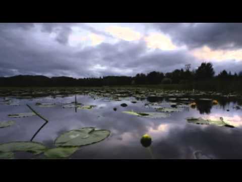 Wisdom Moment - Bob Proctor - "A Lesson Learned"