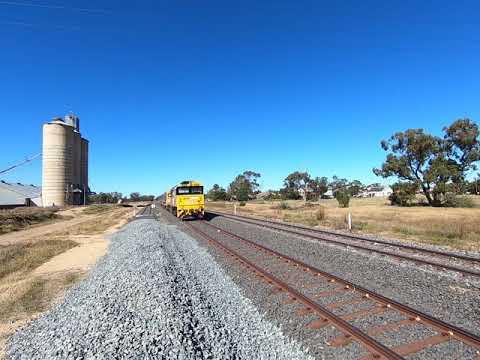 8176, 8140 & 8244 LE at Trangie NSW  Wed 19th May 2021