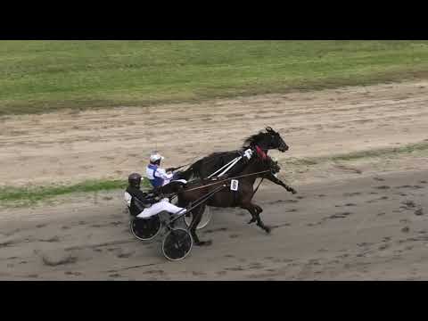 Trka "Vincent-O 2005" 13.10.2019 Donita Ferm - Vladimir Pribić