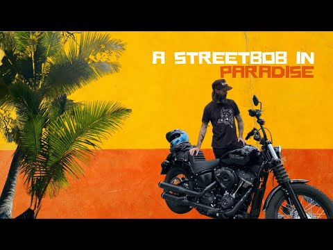 A Harley Softail Street Bob in Paradise.