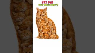 Download lagu 🔴 99% Fail🤯 | Any Genius Online ??😎👇🏻How Many Cats You See 🫵🏻 mp3