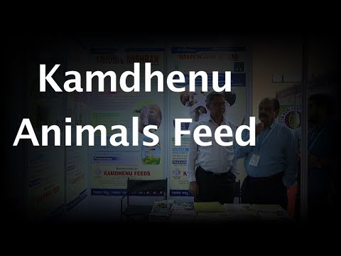 All about Kamdhenu Feeds