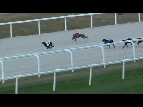 2018.10.14. - Agár futam