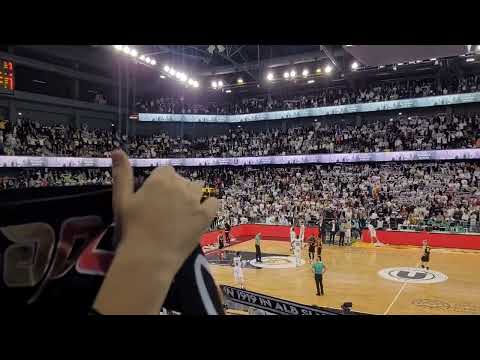 Slava ție studenție - (U BT Cluj-Napoca- MHP Ludwigsburg 73-79)