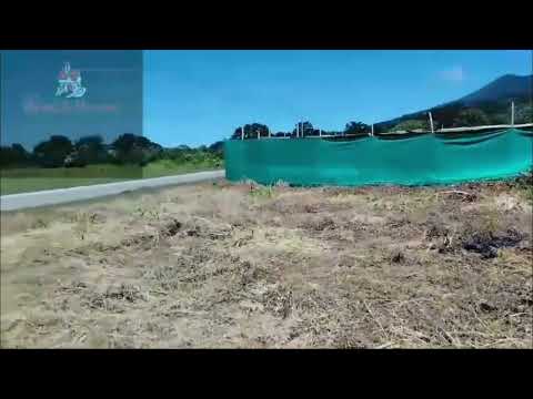 Imagen de Venta de Lotes y Terrenos en Jesús maría - Santa bárbara Jesús María - HEREDIA