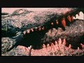 Crocodile 1979 Kill Count