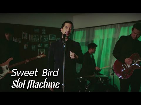 Slot Machine — Sweet Bird