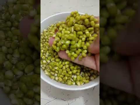 High Protein Sprouted Green Moong Dal for Vegetarian | Sandhya Jaiswal