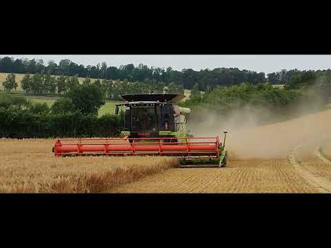 Probedreschen der Wintergerste AVANTASIA von der AGRAR GmbH Ziegelheim