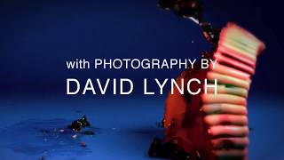 Dumb Numbers // Album Trailer