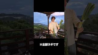 今明かされるネギニラの真実 #shorts