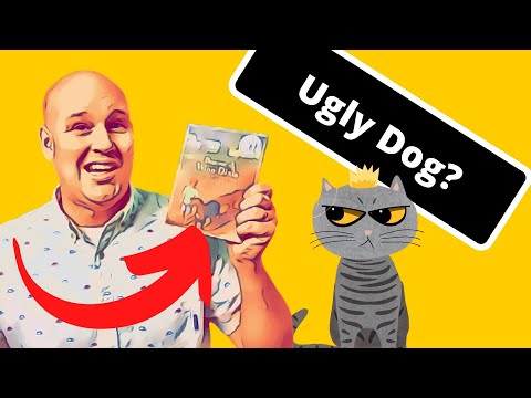 Because of Winn-Dixie by Kate DiCamillo vs Princess the Cat | Newberry Honor Book