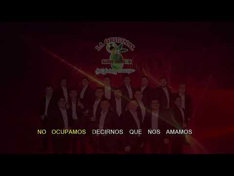 13. Sin Permiso Para Amarte - La Original Banda El Limon KARAOKE