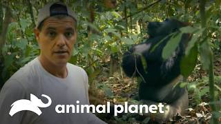 Thumbnail del capítulo