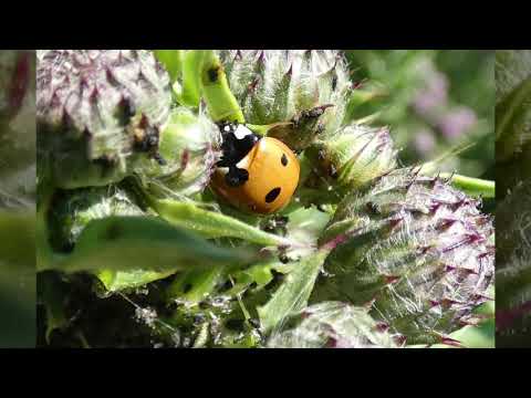 Vrijdag 29 en Zaterdag 30 mei 2020