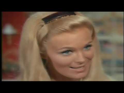 The Big Valley Full Episodes 🎁 Season 4 Episode 7 🎁 Classic Western TV Series