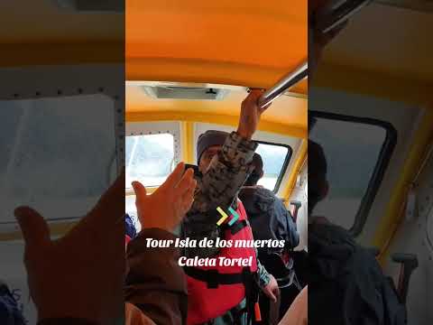 CALETA TORTEL                                    tour Isla de los muertos