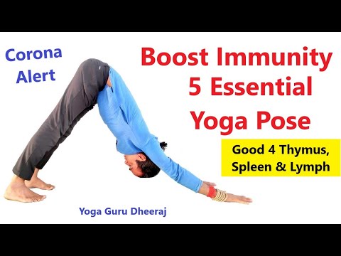 Boost Immunity : 5 Essential Yoga Pose | Active Thymus Gland, Spleen & Lymph Nodes Yoga Guru Dheeraj