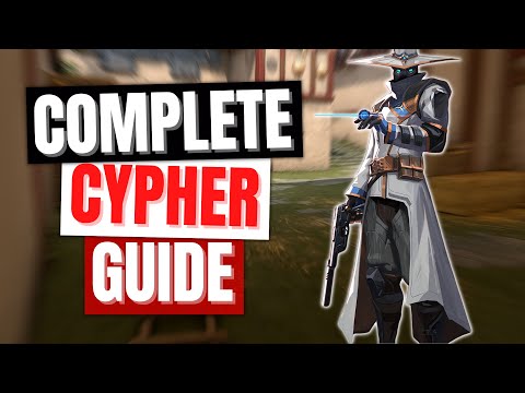 The COMPLETE Cypher Guide for BEGINNERS!