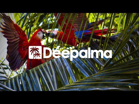 Distant People - Rhythm of My Love (Angelo Ferreri Club Remix) [Déepalma Records]