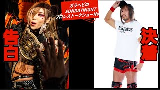 ガラヘビのSUNDAYNIGNTプロレストークショーNo.6 @ガラヘビ@NOAH 
