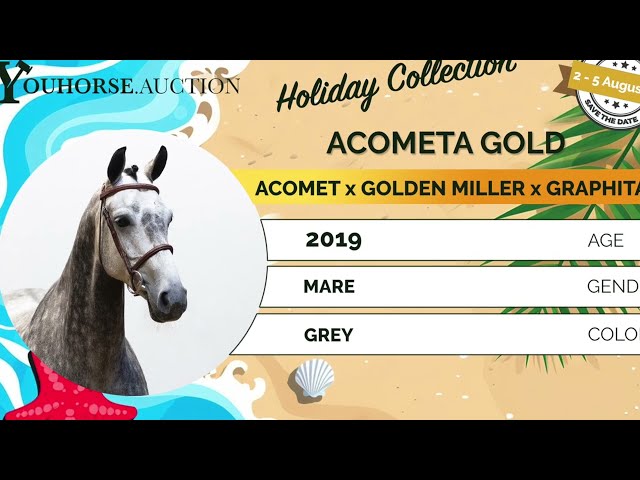 Acometa Gold