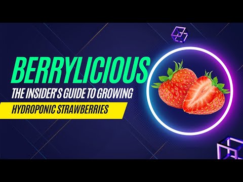 Berrylicious: The Insider's Guide to Growing Hydroponic Strawberries