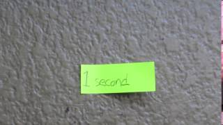 A one second video