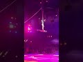 Big Apple Circus Circus Gymnast Familyfun Kidfriendlytrips Shortsvideo Shorts Shortsfeed
