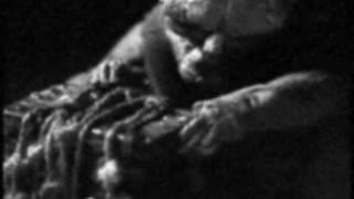 Suicide Commando   Sheer Horror