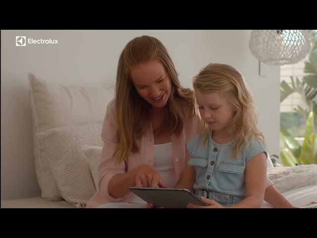 منقي هواء من الكتروليكس لون فضي موديل FA31-202GY